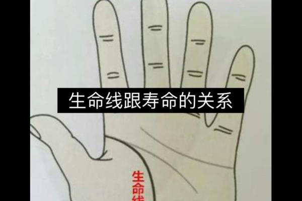 风水生命线短的人寿命短吗有什么说法