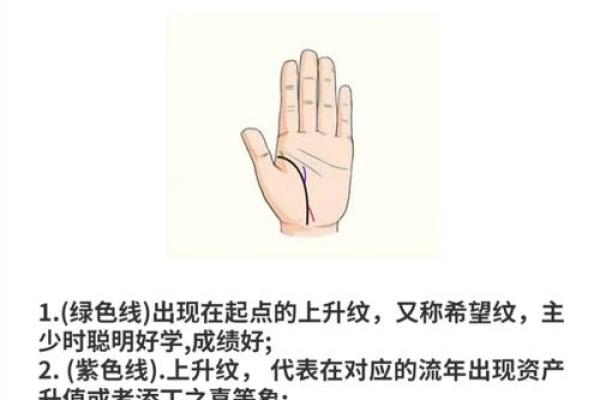 风水生命线短的人寿命短吗有什么说法