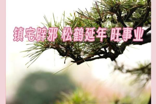 风水辟邪大全，一定要牢牢记住