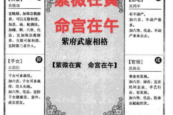紫薇斗数权忌科