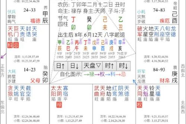 紫薇斗数综合详解