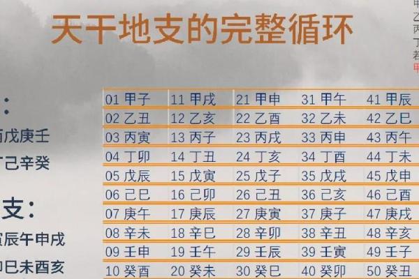 八字算命解释