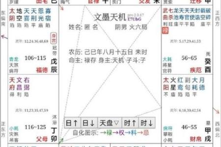 紫薇斗数查询今日运势