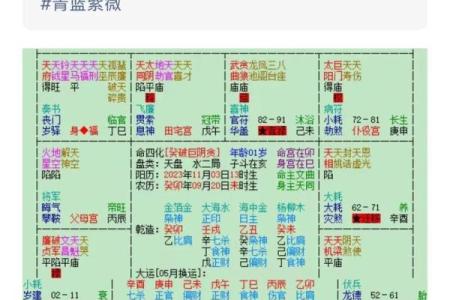 命格紫薇斗数