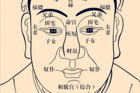 紫薇斗数太阳入命宫
