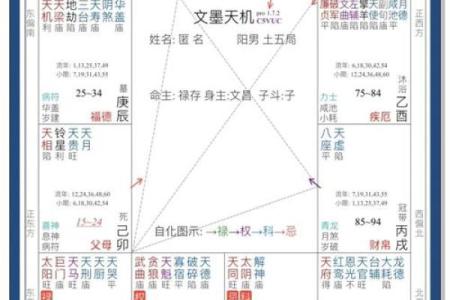 紫薇斗数如何看工作变化