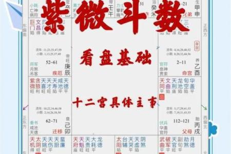 紫微斗数命盘解析：十二宫位
