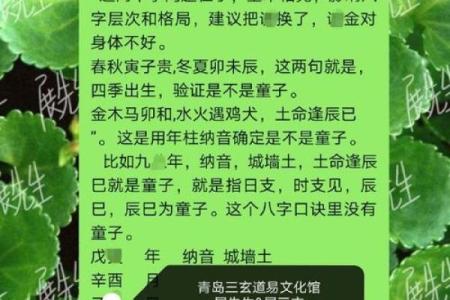 算命童子什么意思 , 道教童子命赦天罪解锁过程