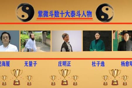 紫薇斗数实验