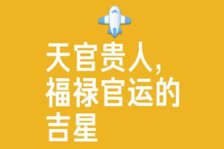 算命天灾星