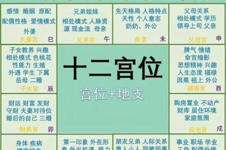 紫薇斗数盘如何看