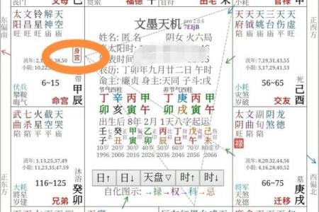 紫薇斗数权忌科