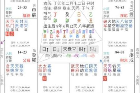 紫薇斗数综合详解