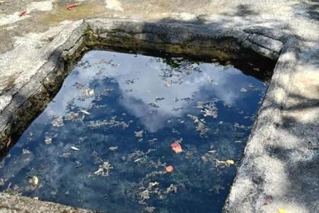 房子风水上有水井好吗