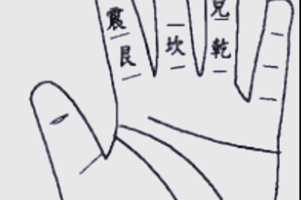 龟卜灵签