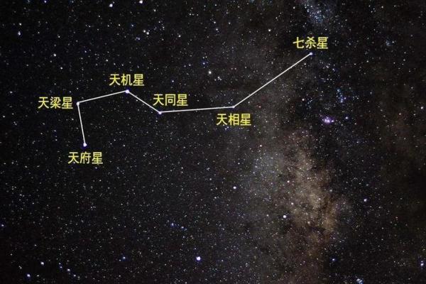 紫微斗数之廉贞星：此星在命盘什么地方，这辈子的业障就在哪里