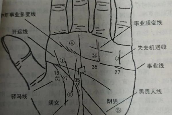 免费扫一扫看手相算命,扫一扫看手相算命