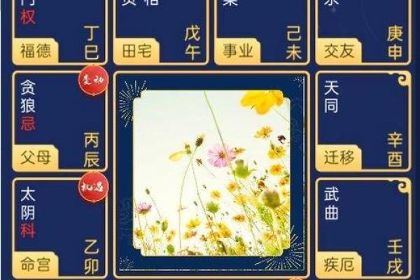 紫薇斗数入库忌