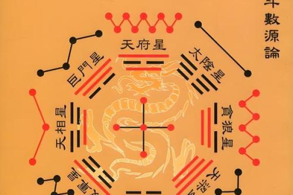 紫薇斗数全集