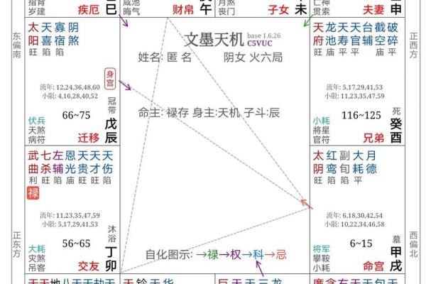 紫薇斗数生育星