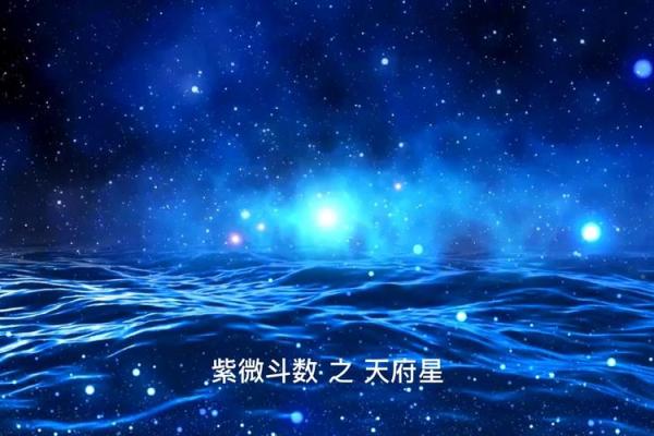 夫妻紫薇天府星