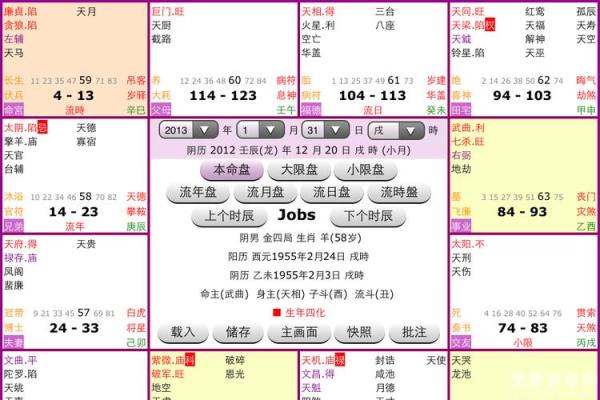 中国紫薇斗数排盘