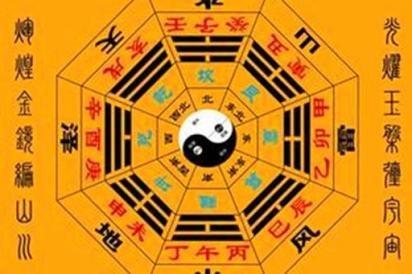 命运树算命