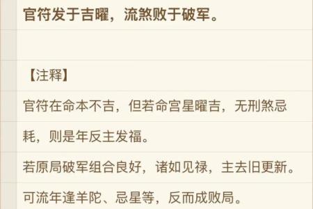 道传紫薇斗数