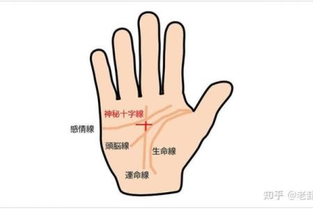 免费扫一扫看手相算命,扫一扫看手相算命