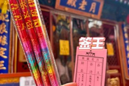 真武灵签12风卷杨花解签
