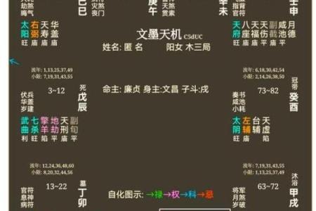 紫薇斗数中落局是什么意思