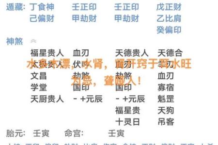 排八字排盘