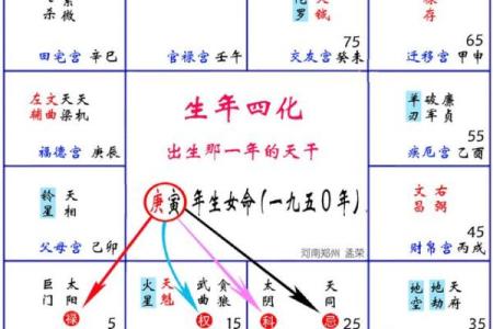 紫薇斗数化忌详解
