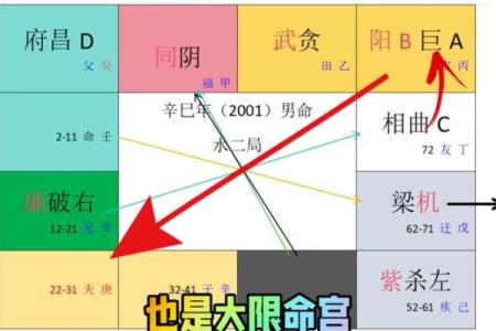 紫薇斗数测寿命