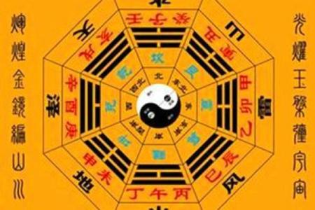 命运树算命