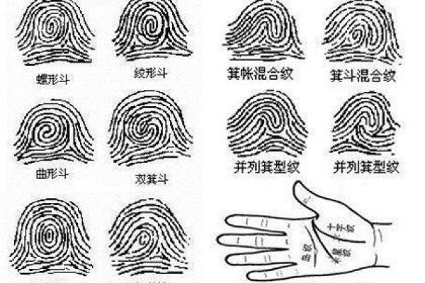 手指斗算命 手上有几个斗适合当老板