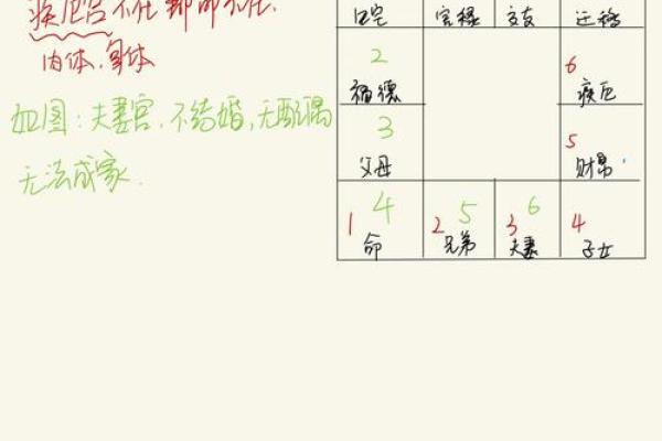 紫薇斗数大运命宫