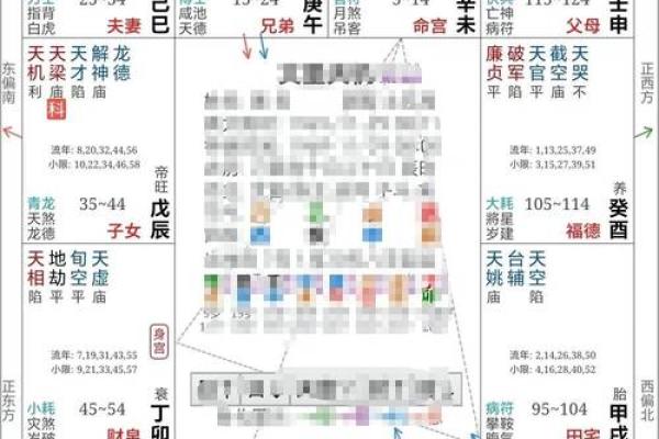 紫薇斗数大运命宫