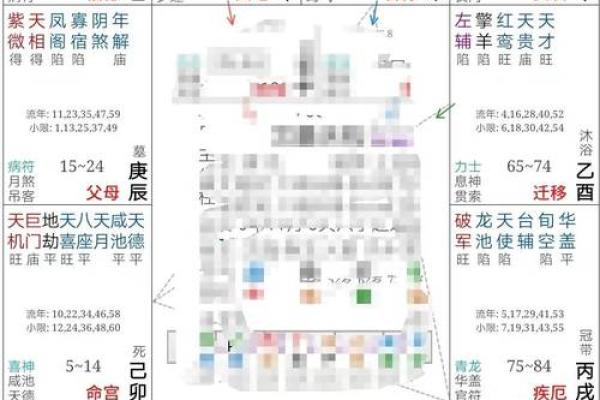 紫薇命盘疾厄宫廉贞天相