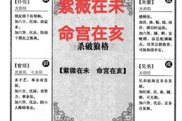 紫薇命盘疾厄宫廉贞天相