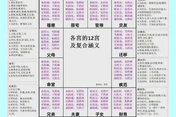 文墨天机紫薇斗数怎么看