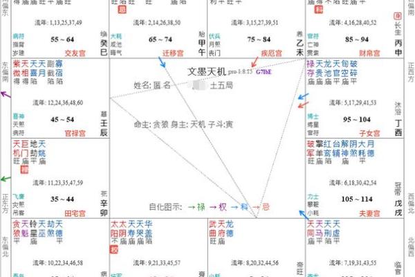 紫薇斗数紫薇入命宫