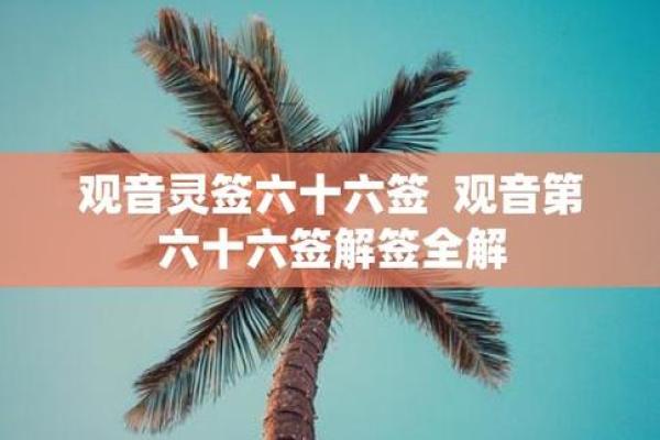 日本观音灵签第66签解签