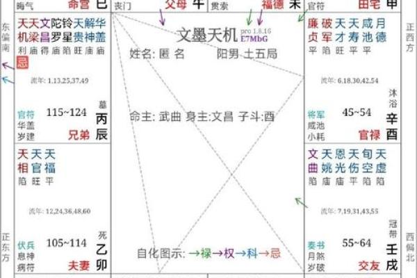 短命紫薇斗数