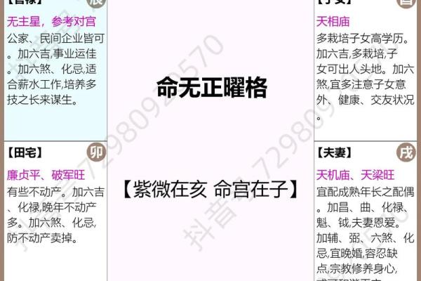 短命紫薇斗数