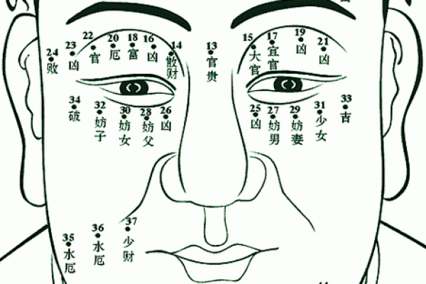 眼皮的面相解析 通过眼皮看面相算命 眼皮的面相解析 通过眼皮看面相算命