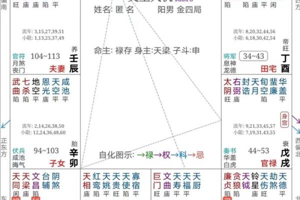 紫薇斗数紫破夹