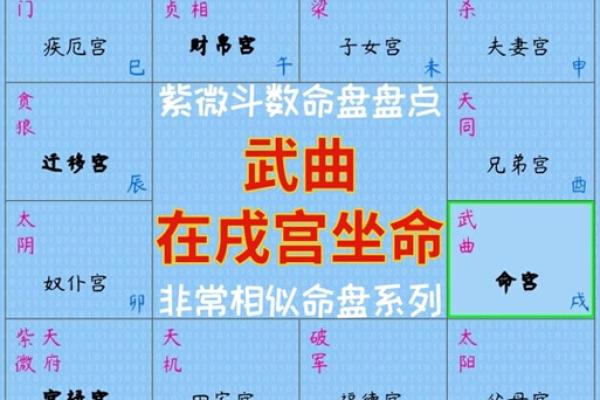 紫微命盘岁驿入命怎么样,紫薇斗数岁驿星在命宫