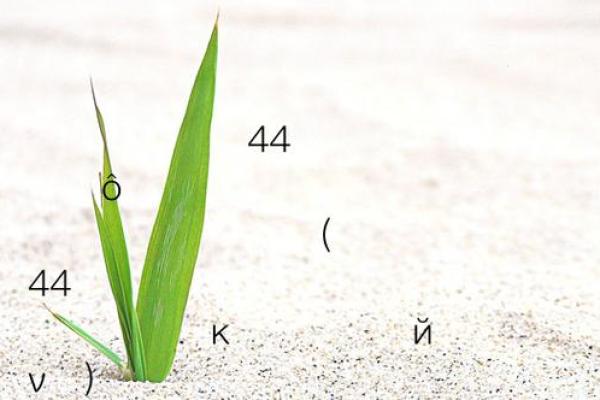 吕祖灵签44