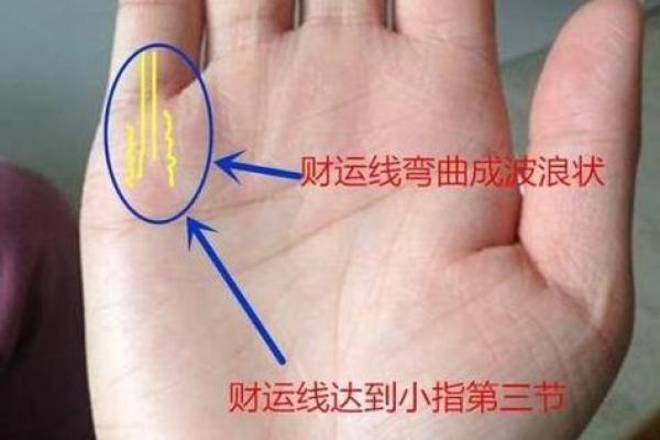 财运线是哪一条？财运线算命图解